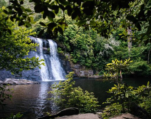 waterfall coming through rocks surrounded by trees