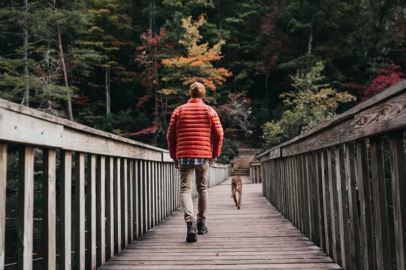 man walking on bridge beside a dog during daytime